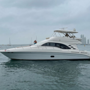 Sea Ray 58